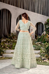 Light Green Net Embroidered Lehenga Choli