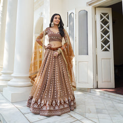 Lehenga Choli brodé en filet de papillon marron