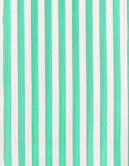 Veste de costume à rayures vertes et blanches pour homme, blazer slim fit