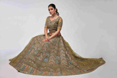 Olive Green Net Diwali Special A Line Lehenga With Embroidery And Sequins Wedding Wear