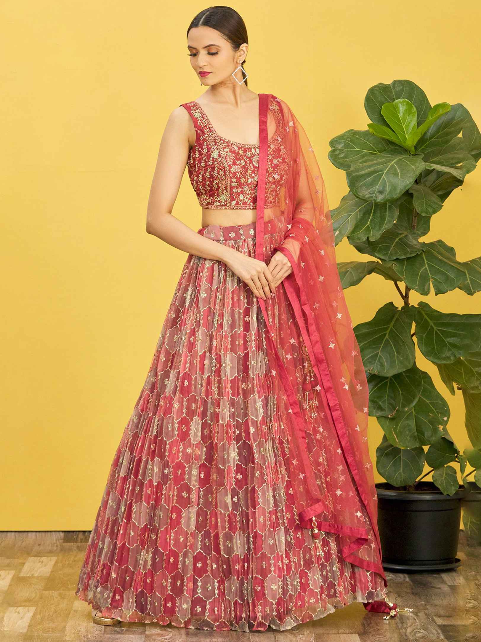 Brown Printed Net Lehenga Choli