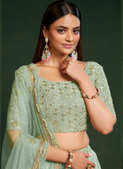 Pista Sequins Embroidered Net Lehenga Choli