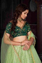 Pista Net Embroidered Lehenga Choli