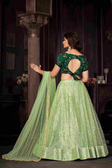 Pista Net Embroidered Lehenga Choli