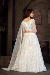 White Net Embroidered Lehenga Choli