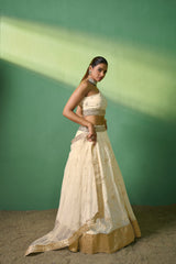 Cream Georgette Sequins Embroidered Lehenga Choli