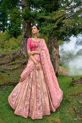 Baby Pink Silk Embroidered Lehenga Choli