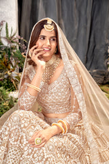 Beige Net Embroidered  Lehenga Choli