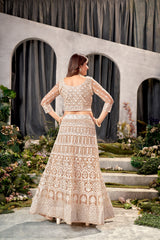 Beige Net Embroidered  Lehenga Choli