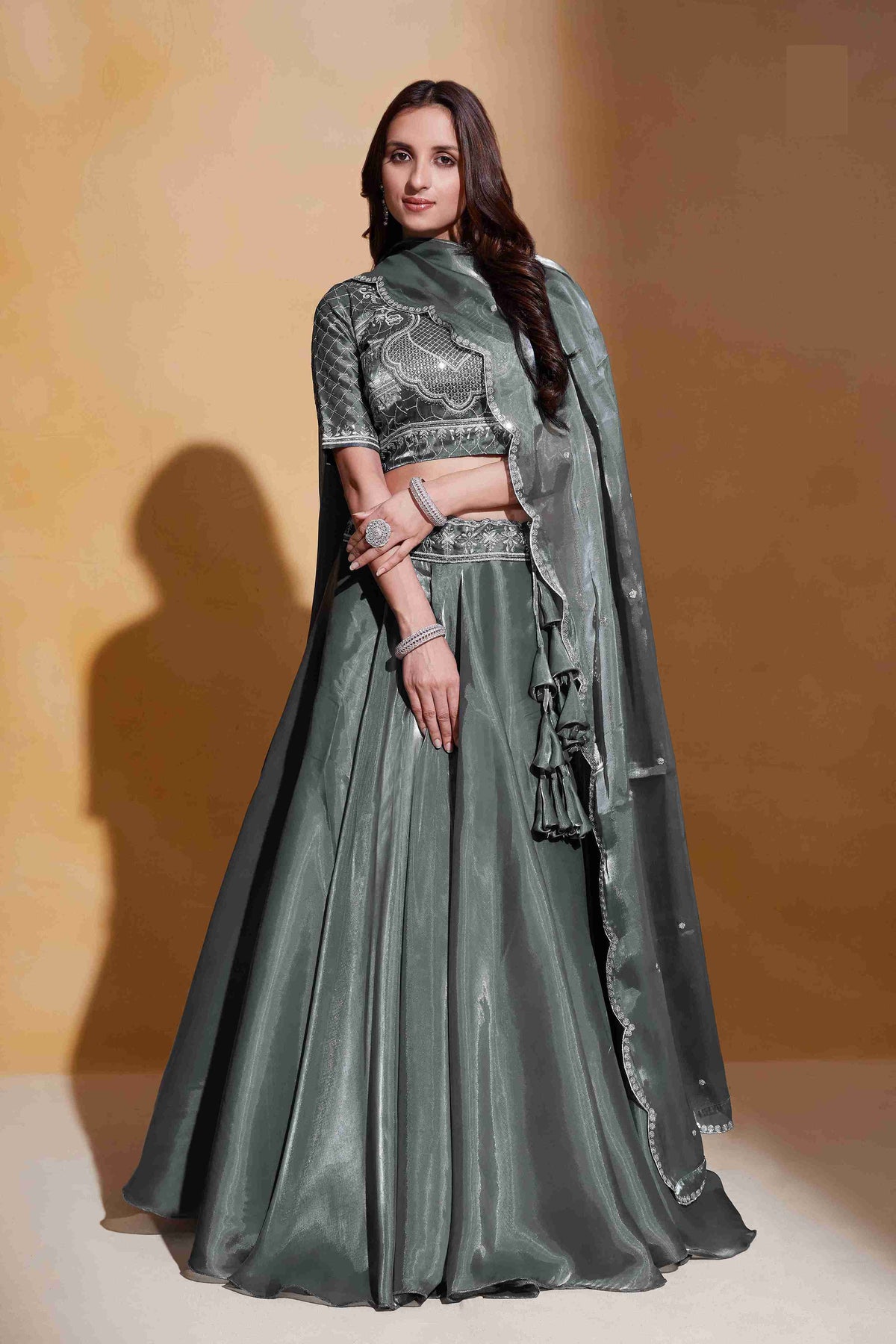 Grey Organza Silk Sequins Embroidered Lehenga Choli