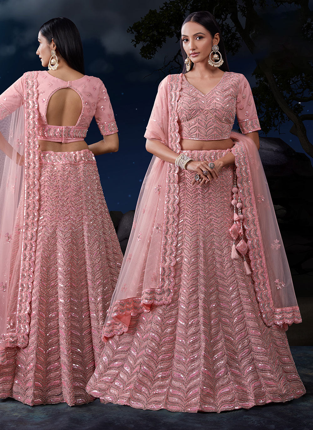 Baby Pink Net Embroidered Lehenga Choli