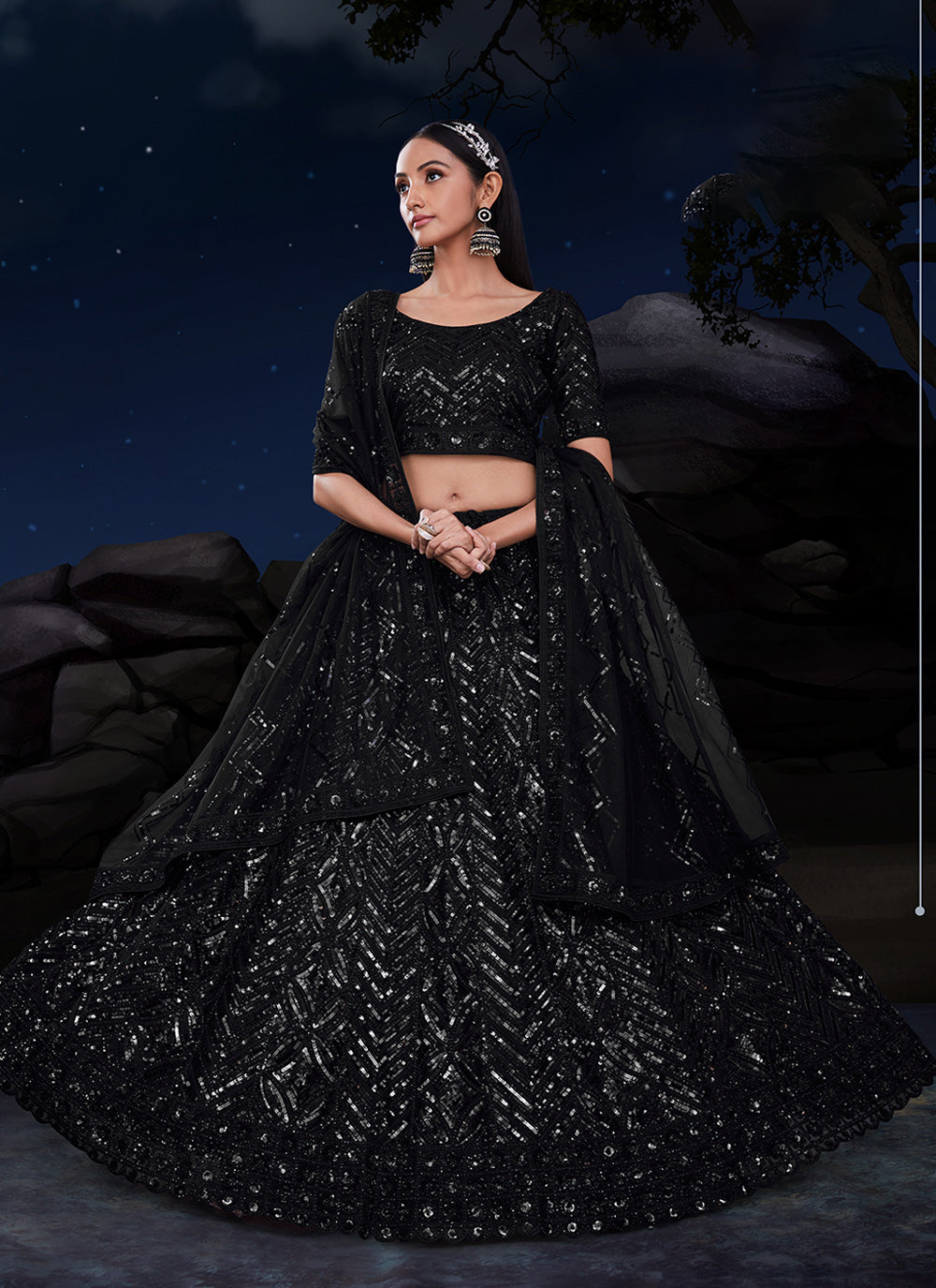 Black Net Embroidered Lehenga Choli