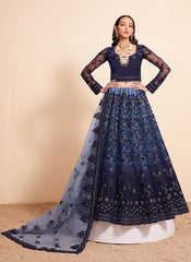 Blue Net Embroidered Lehenga Choli