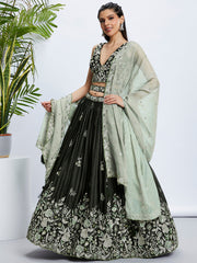 Olive Raw Silk Sequins Embroidered Lehenga Choli