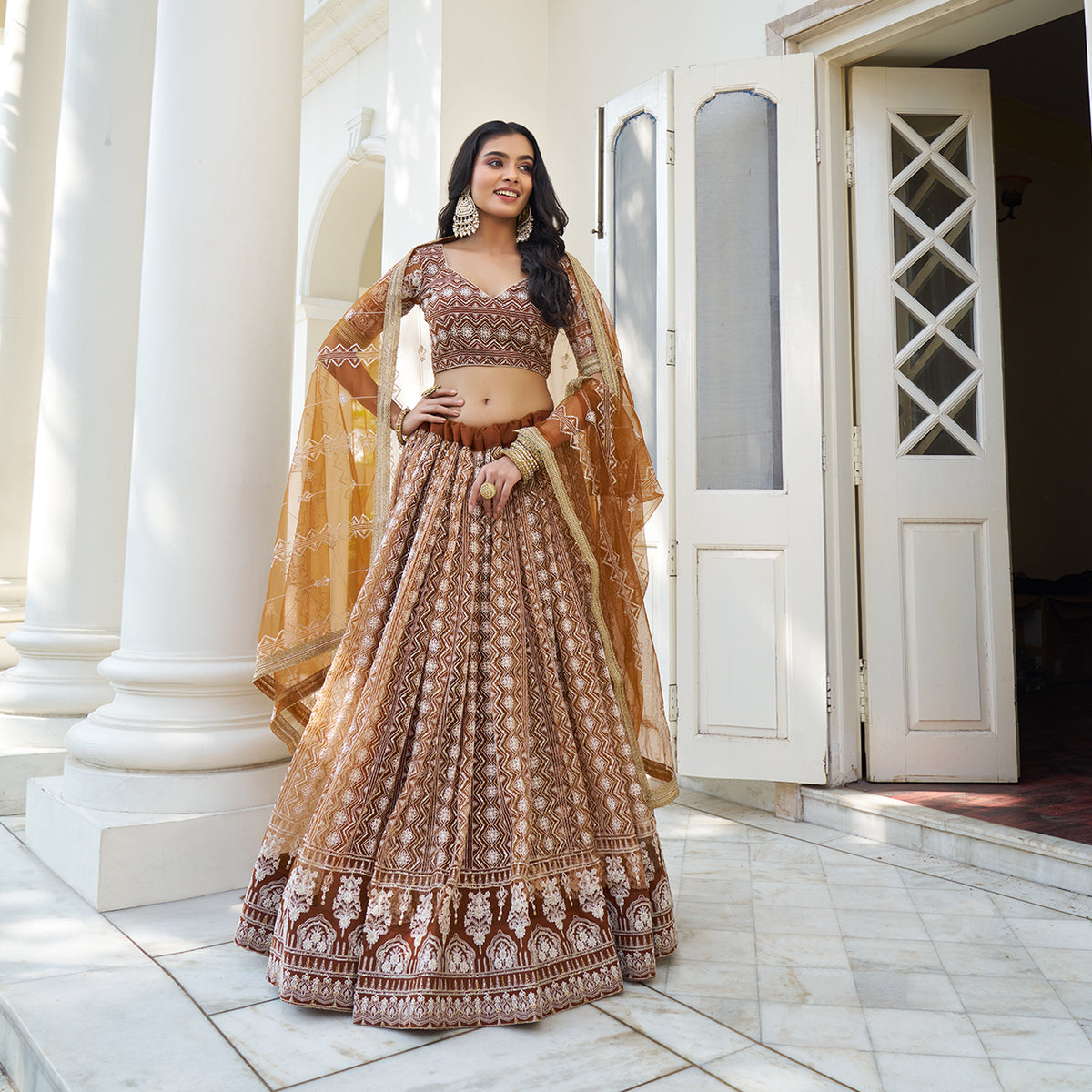 Elina Fashion Brown color Butterfly Net Embroidery Work  Lehenga Choli for Women