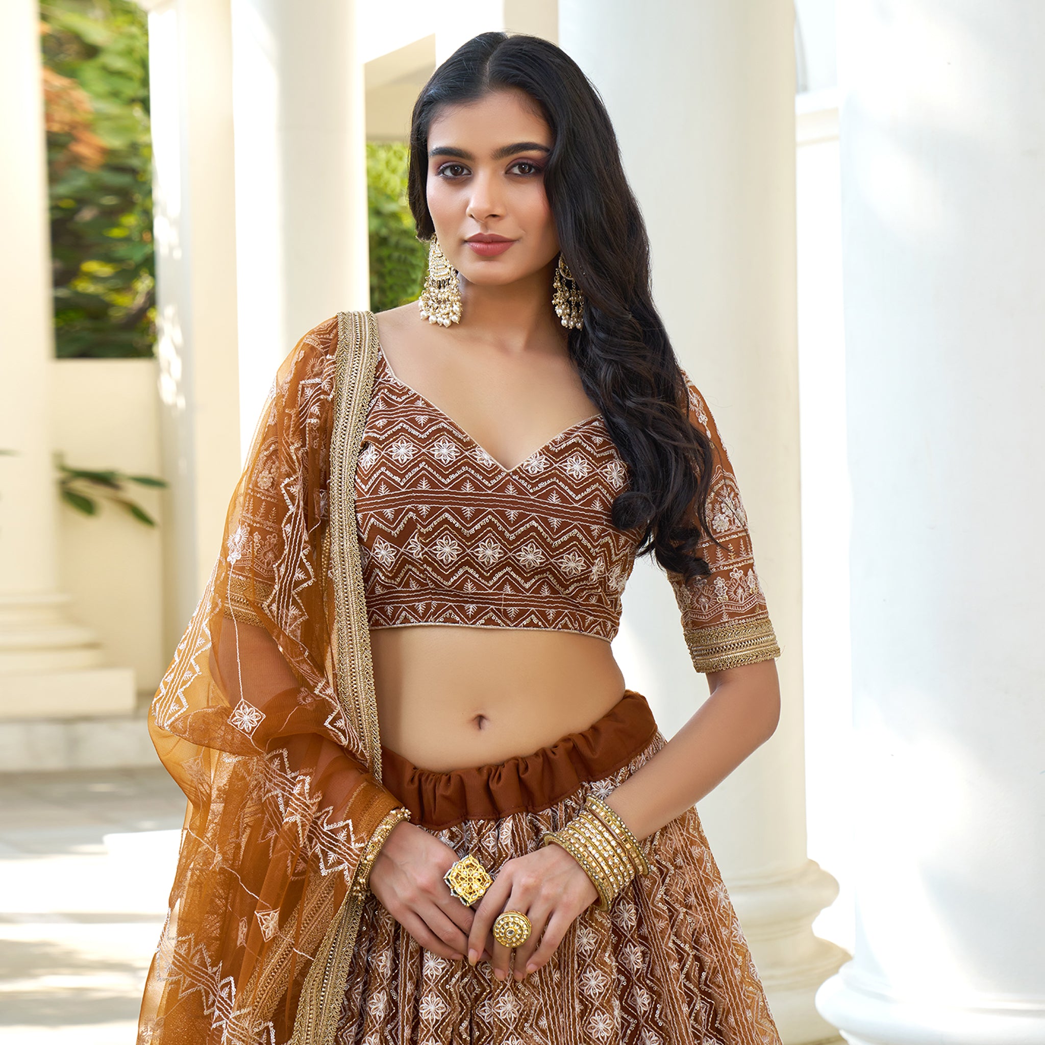 Elina Fashion Brown color Butterfly Net Embroidery Work  Lehenga Choli for Women