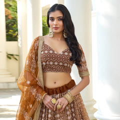 Elina Fashion Brown color Butterfly Net Embroidery Work  Lehenga Choli for Women