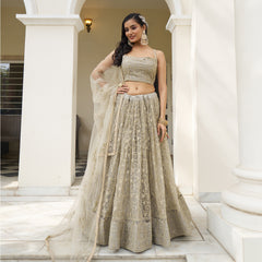 Elina Fashion Ivory color Butterfly Net Embroidery Work  Lehenga Choli for Women