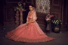 Elina Fashion Peach color Net Embroidery Work  Lehenga Choli for Women