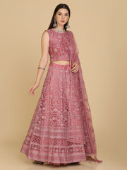 Elina Fashion Pink color Net Embroidery Work Lehenga Choli for Women