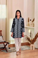 Navy Blue Rayon Chikankari Embroidery  Kurti