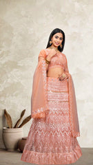 Elina Fashion Peach color Net Embroidery Work Lehenga Choli for Women