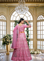 Elina Fashion Pink color Net Embroidery Work Lehenga Choli for Women