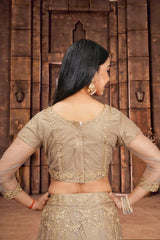 Elina Fashion Beige Color Net Embroidery Work Lehenga Choli for Women