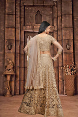 Elina Fashion Beige Color Net Embroidery Work Lehenga Choli for Women