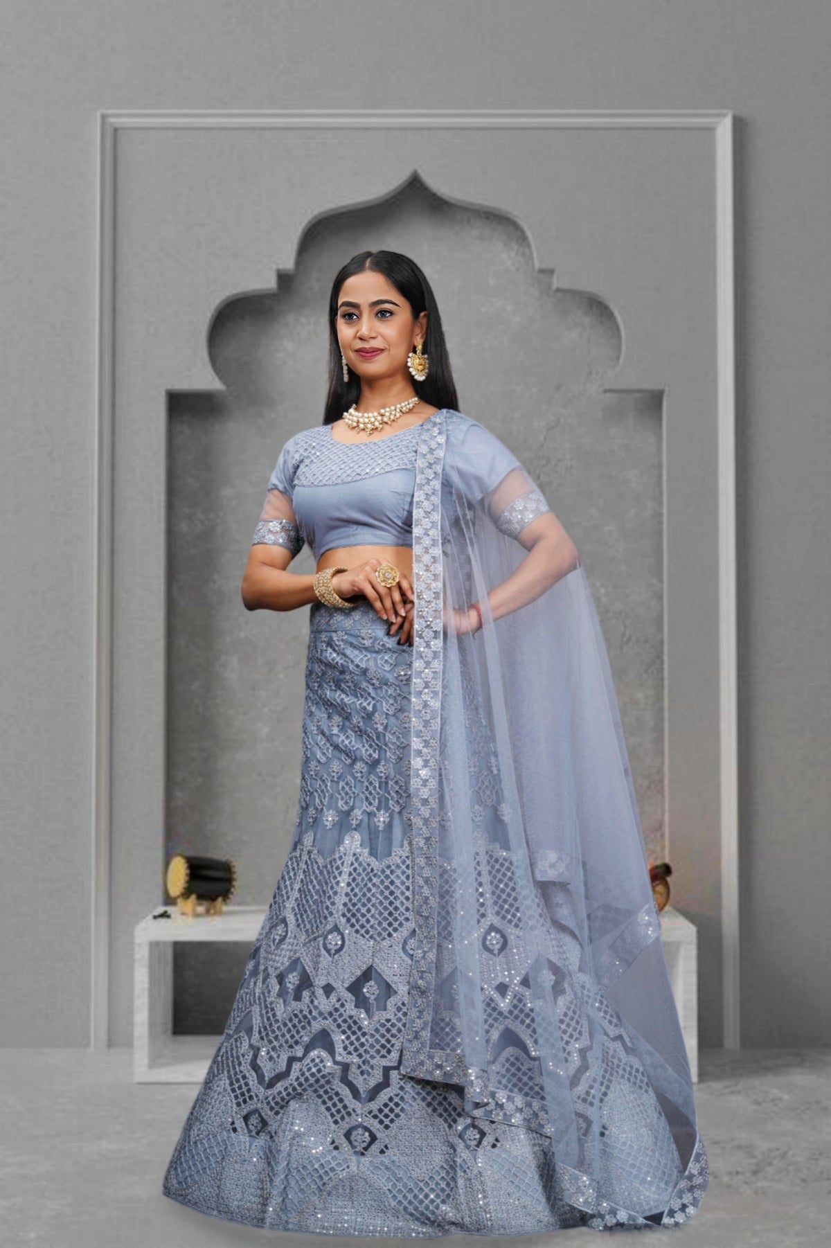 Elina Fashion Grey color Net Embroidery Work  Lehenga Choli for Women