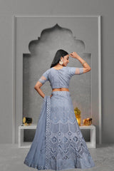 Elina Fashion Grey color Net Embroidery Work  Lehenga Choli for Women