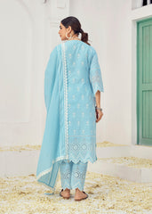 Blue Cotton Embroidered Lucknowi Salwar Suit