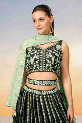 Green Satin Sequins Embroidered Lehenga Choli