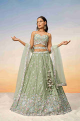 Pista Chiffon Sequins Embroidered Lehenga Choli