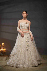 Cream  Net Thread Sequins Embroidered Lehenga Choli