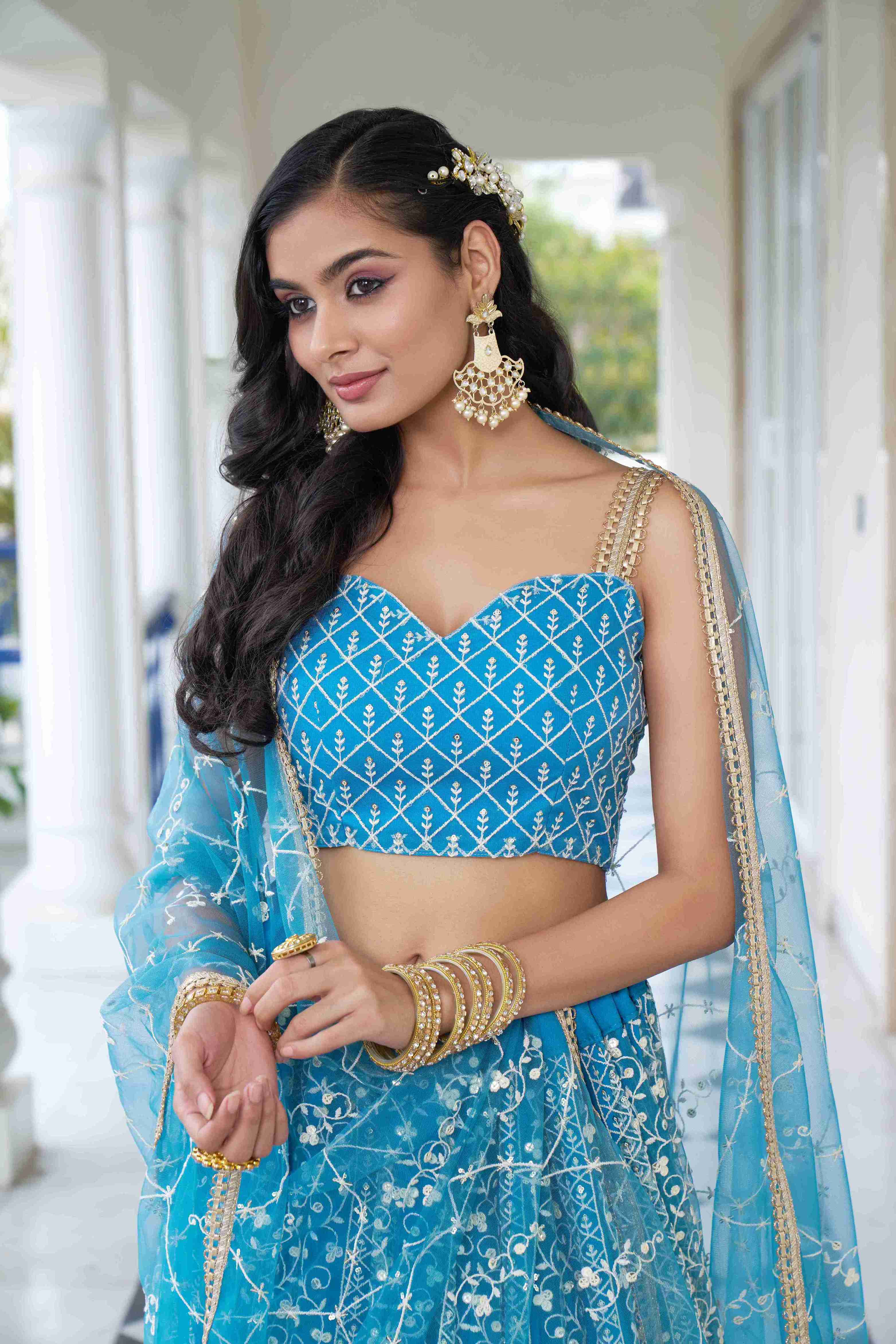 Sky Blue  Net Thread Sequins Embroidered Lehenga Choli