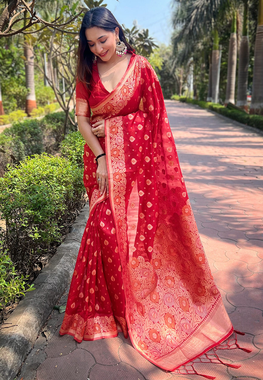 Red Organza Zari Woven Saree