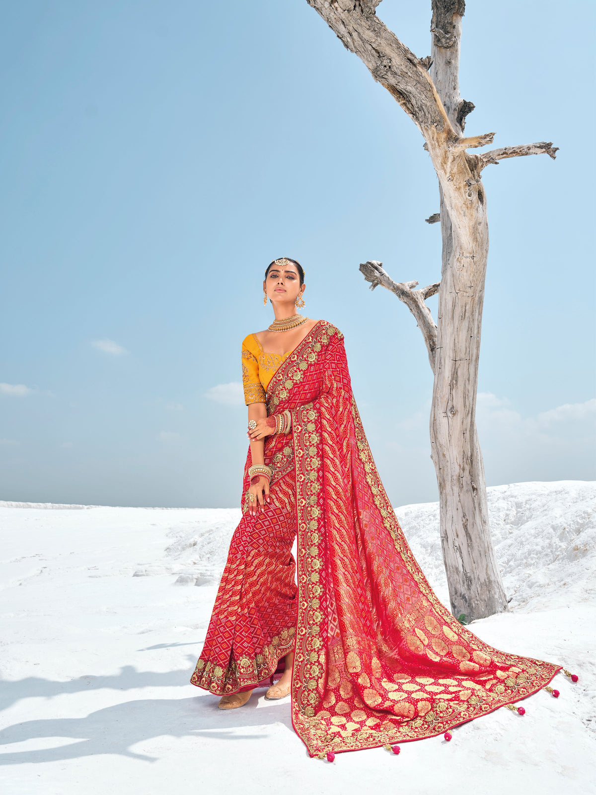 Pink Red Georgette Woven Bandhani Patola Designer Saree