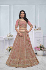 Onion Soft Net Embroidered Womens Lehenga Choli