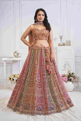 Multi-Brown Soft Net Embroidered Lehenga Choli