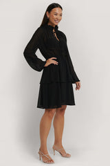 Black Chiffon High Frill Neck Dress