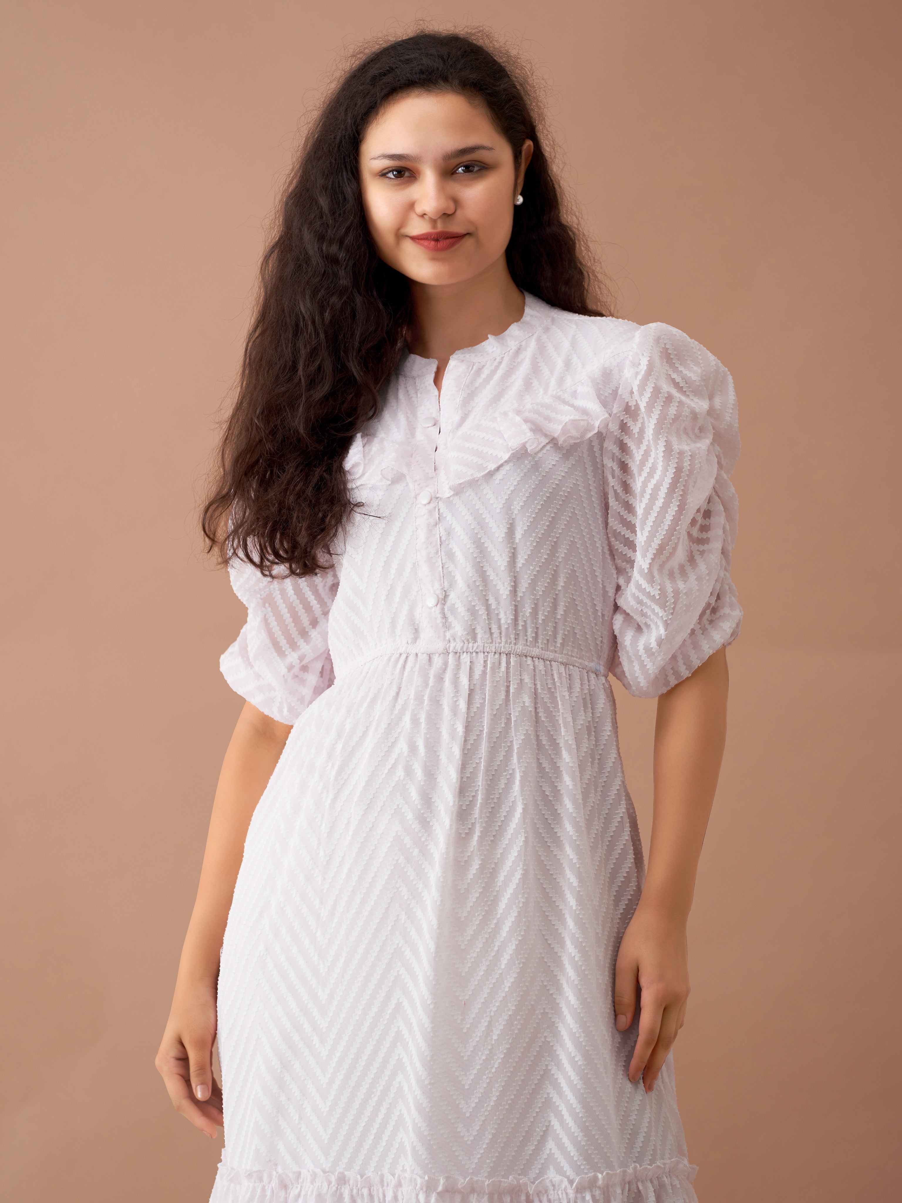 White Chiffon Brasso Swiss Dot High Neck Dress